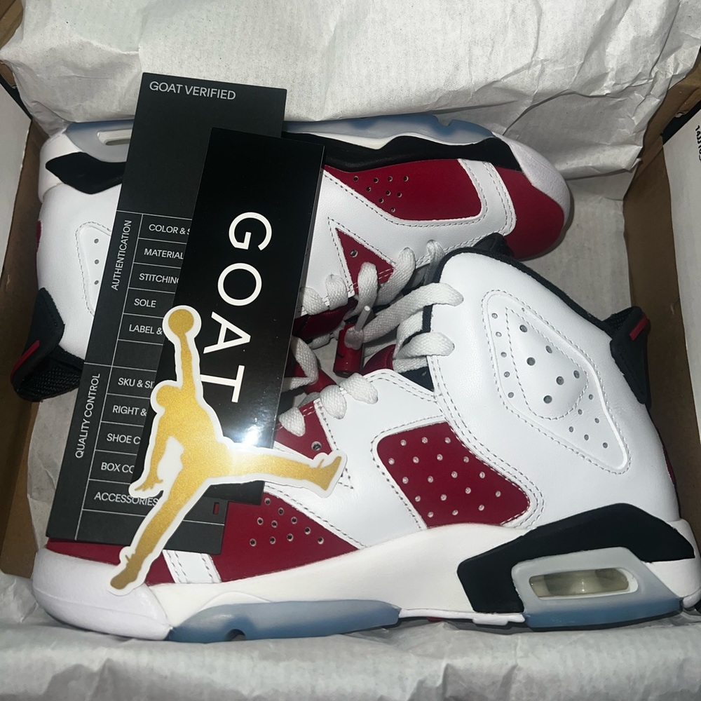 Air Jordan 6 retro “Carmine boys” 2021